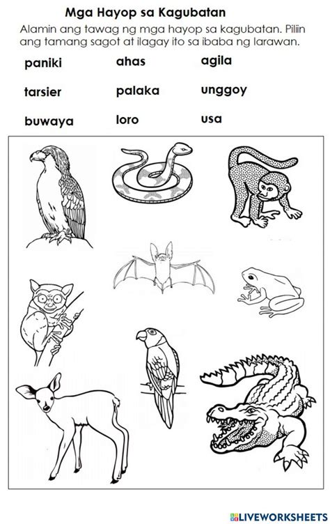 kagubatan drawing|Mga Hayop Worksheets .